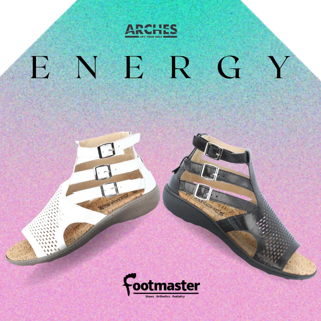 ARCHES ENERGY