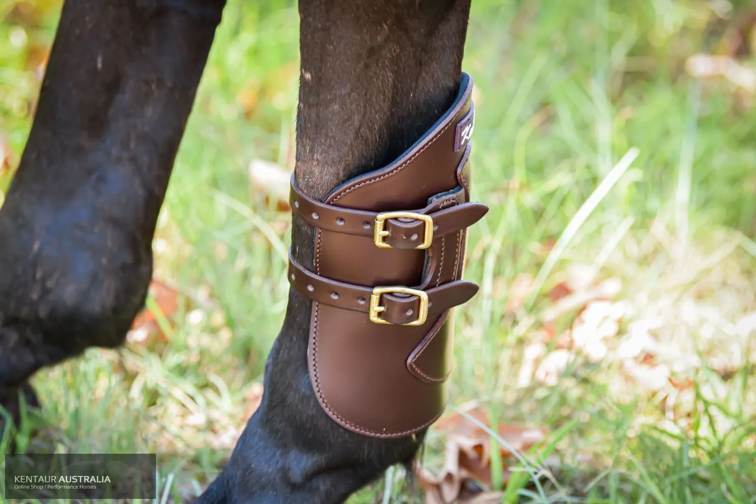 Kentaur Weighted Hind Boots