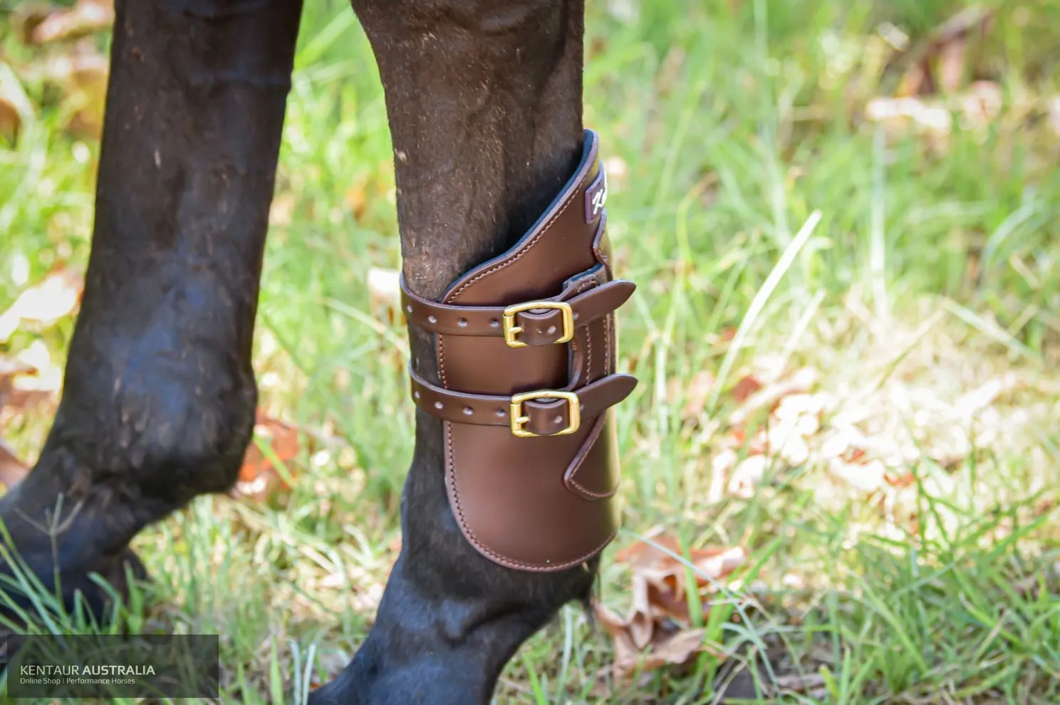 Kentaur Weighted Hind Boots